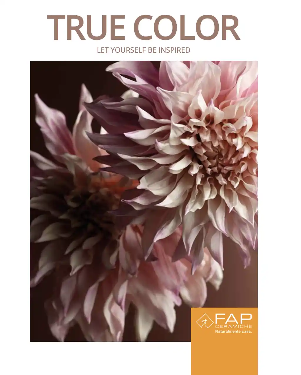 FAP - True Color