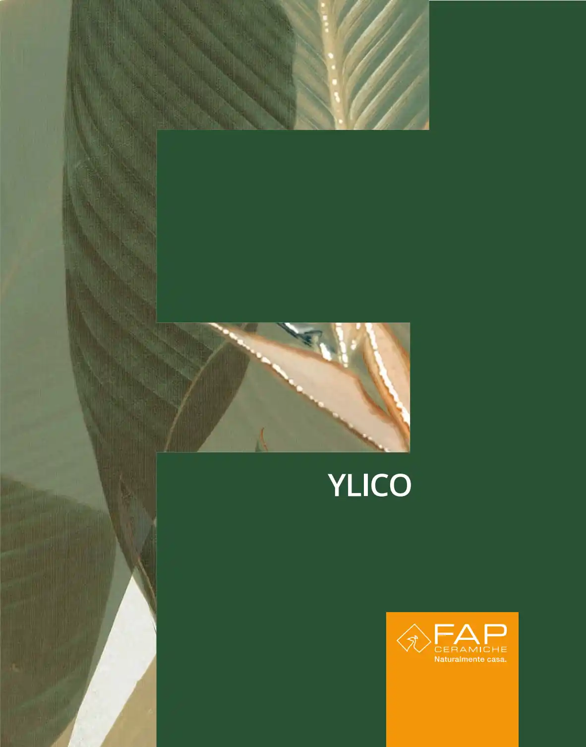 FAP - YLICO