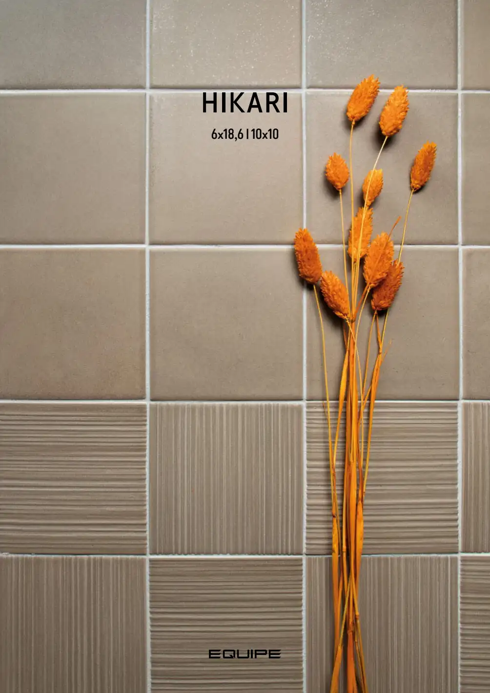 Equipe - HIKARI