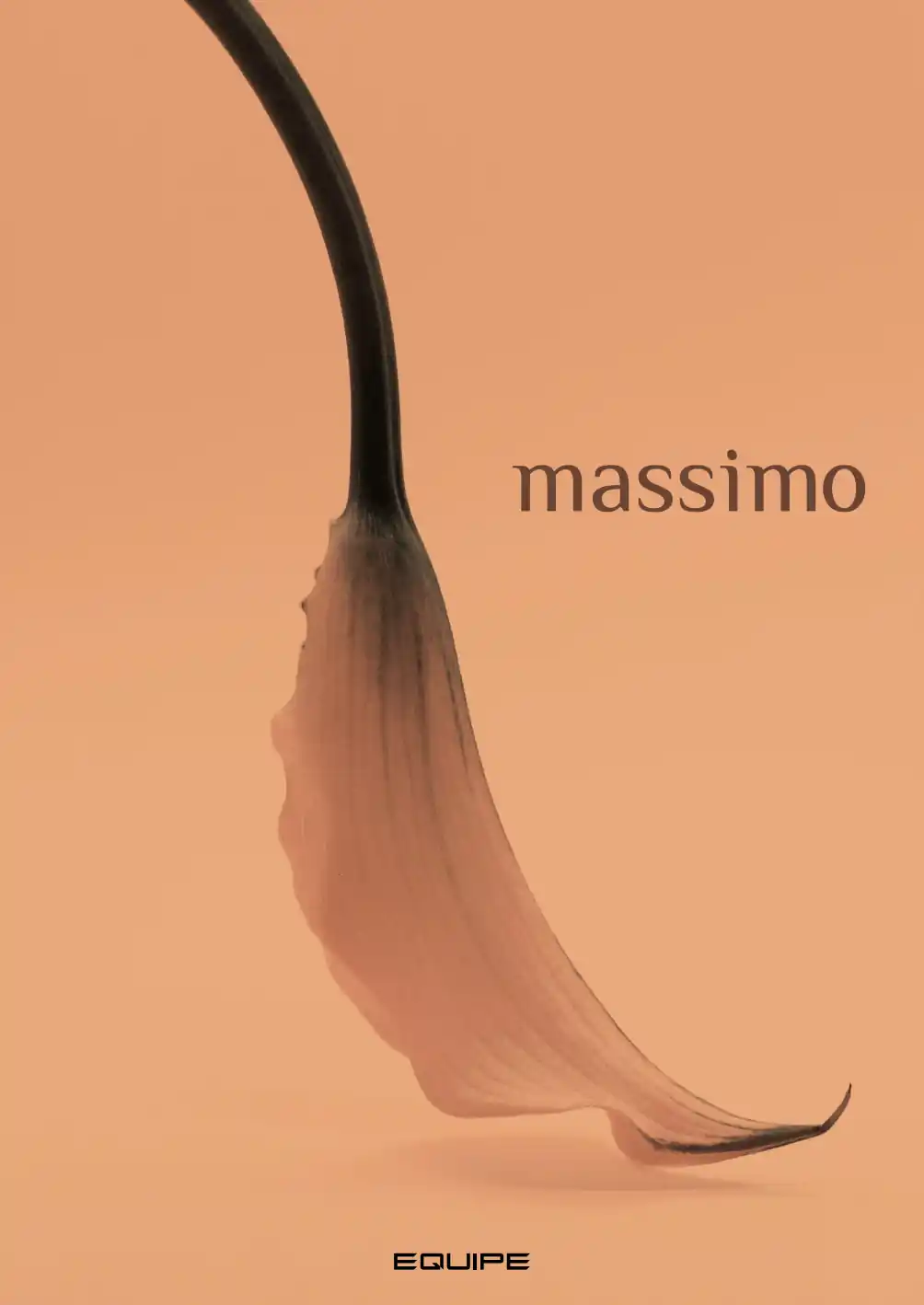 Equipe - Massimo