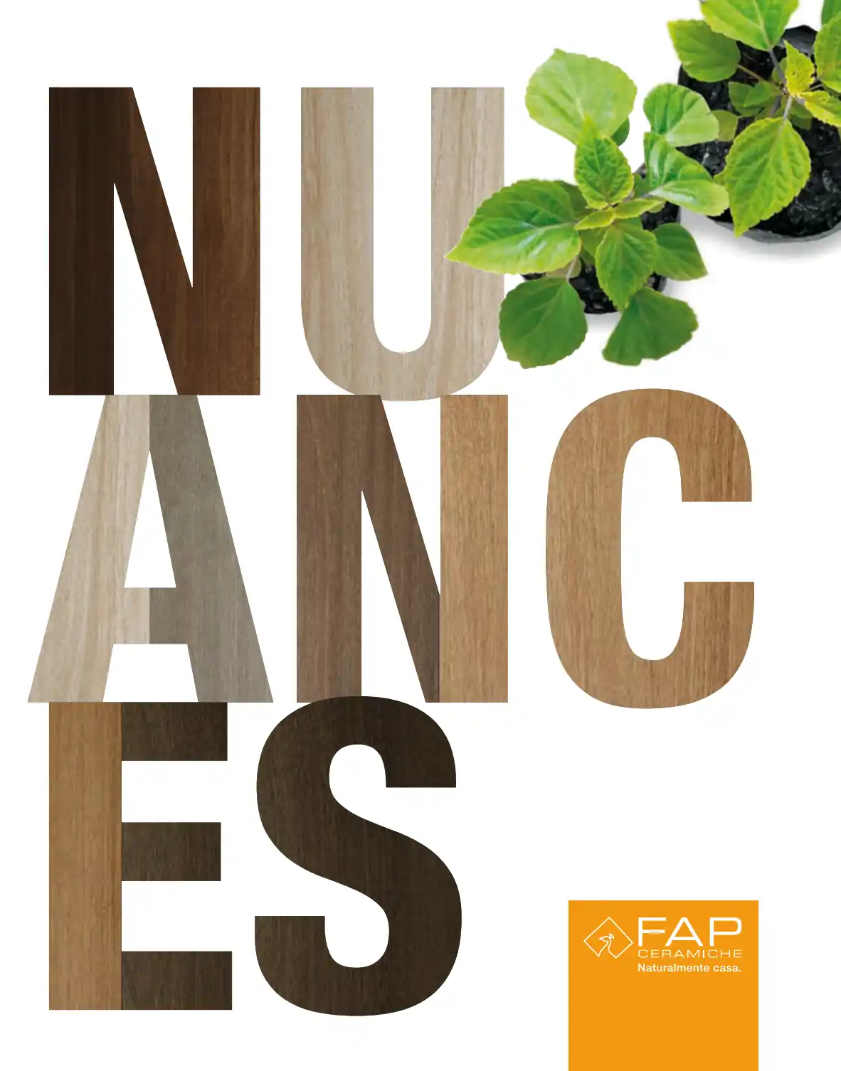 FAP - Nuances