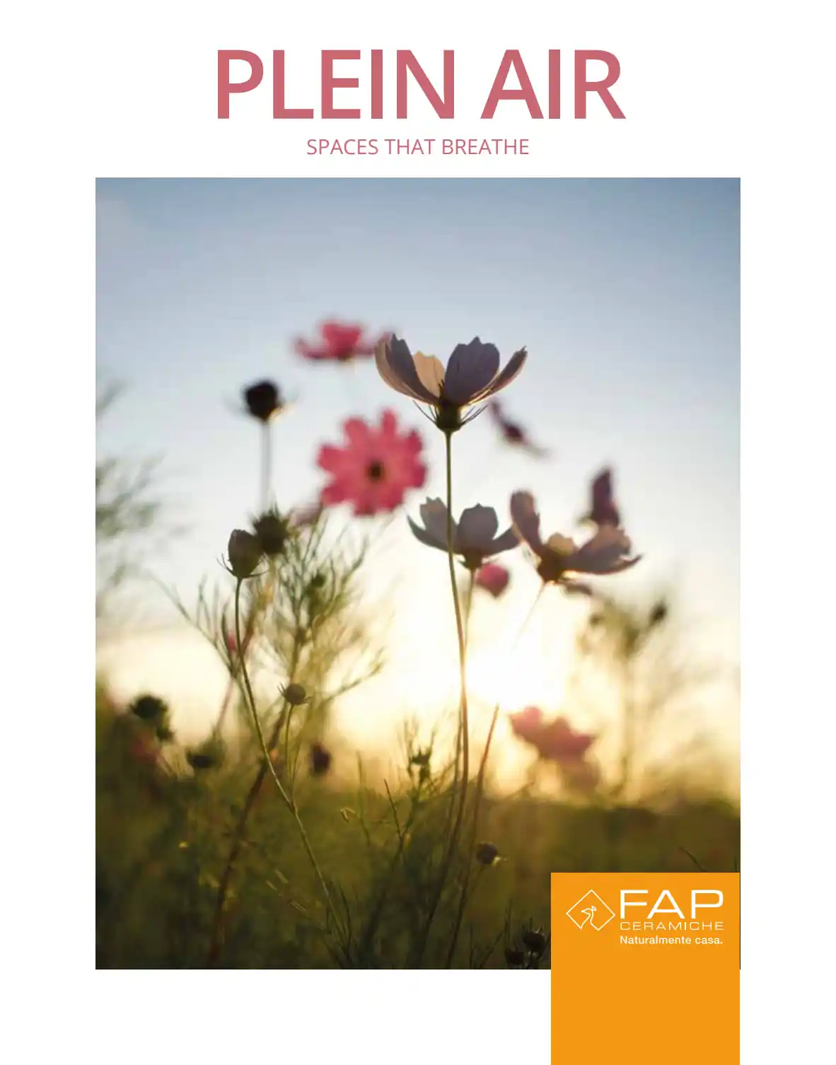 FAP - Plein Air