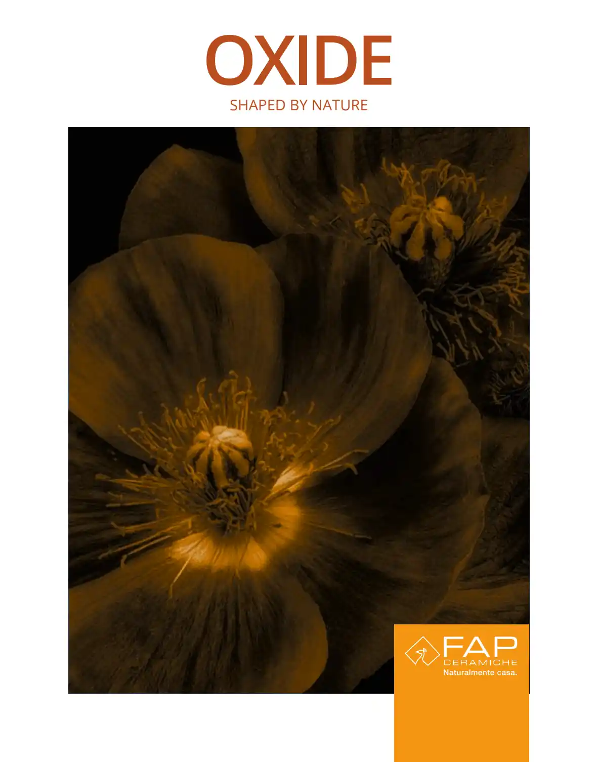 FAP - Oxide