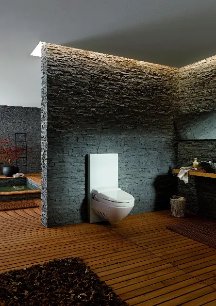 Geberit - Monolith - Rejtett tartályok - 131.031.SI.5 – 4. kép