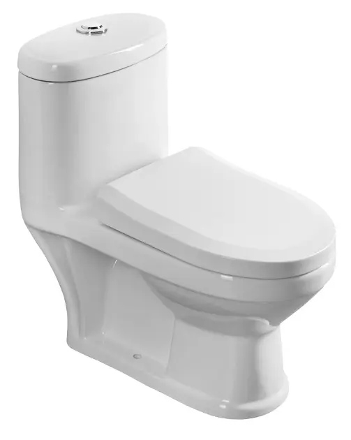 Aqualine - Kombi-WC - PT520