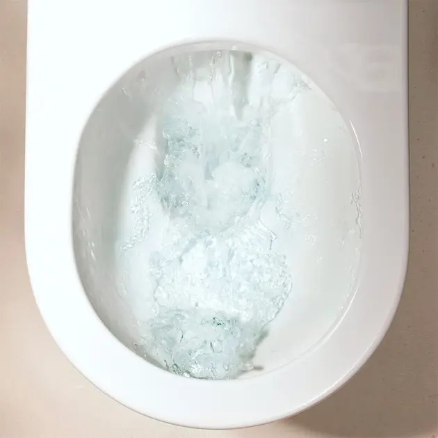 Hansgrohe - EluPura Original S - Kombi-WC - 61165450 – 4. kép