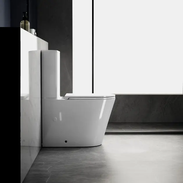 Sapho - Avis - Kombi-WC - PC106V – 5. kép