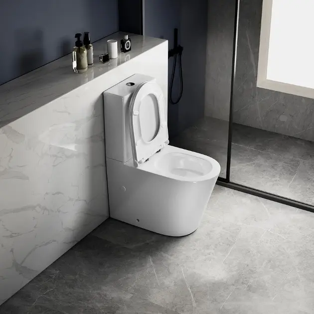Sapho - Avis - Kombi-WC - PC106V – 6. kép