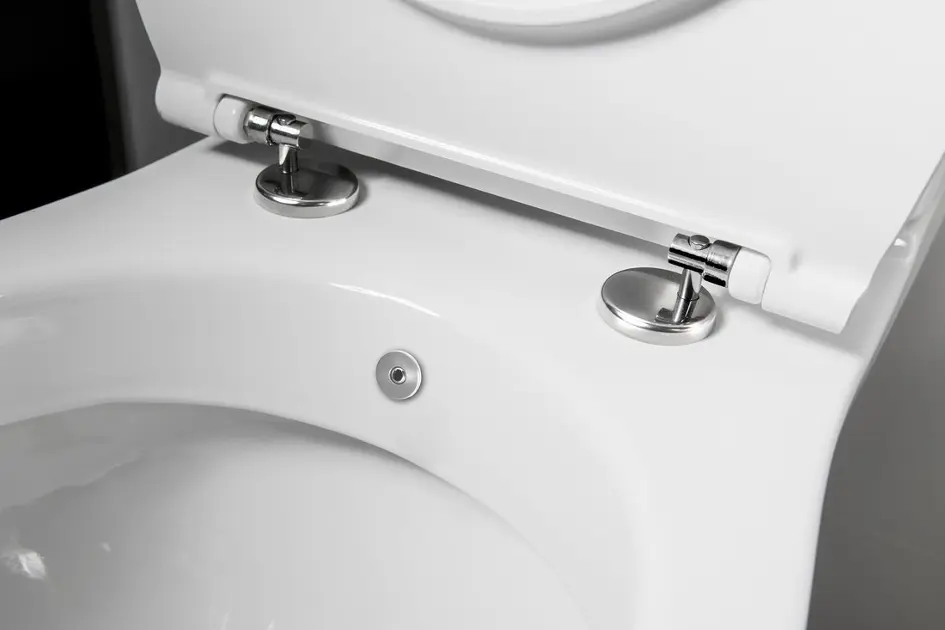 Sapho - Sanitary ceramics - Kombi-WC - PC106 – 4. kép