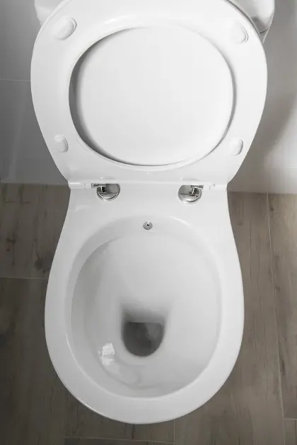 Sapho - Sanitary ceramics - Kombi-WC - PC106 – 5. kép