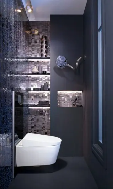 Geberit - AquaClean - Nyomólap - 115.328.SJ.1 – 3. kép