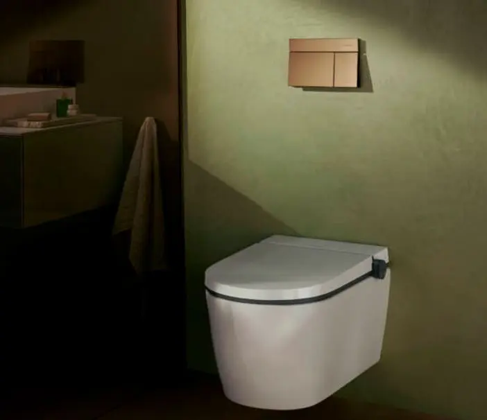 Hansgrohe - iFrame Element E - Nyomólap - 66003140 – 3. kép