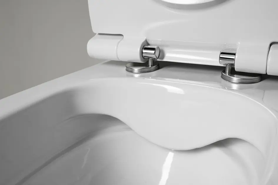 Aqualine - Sanitary ceramics - WC - 10AB02002 – 4. kép