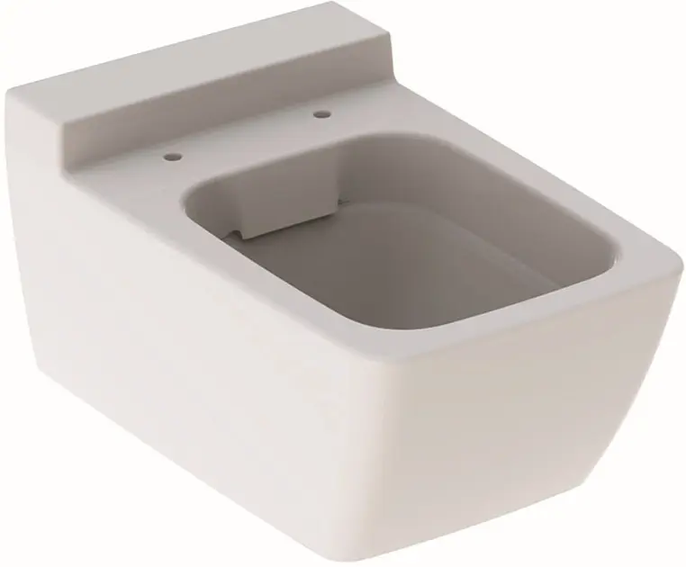 Geberit - Xeno 2 - WC - 500.500.01.1