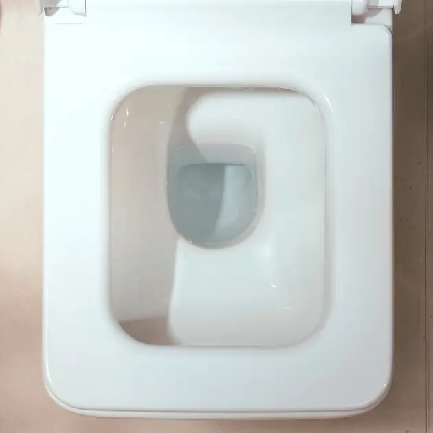Hansgrohe - EluPura Original Q - WC - 61182450 – 5. kép