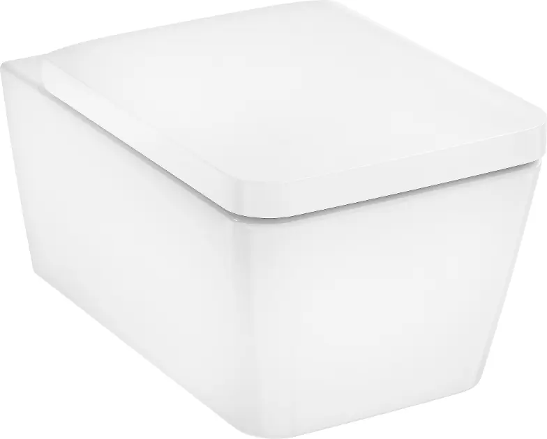 Hansgrohe - EluPura Q - WC - 60293450