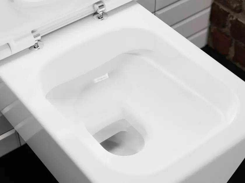 Hansgrohe - EluPura Q - WC - 61116450 – 3. kép