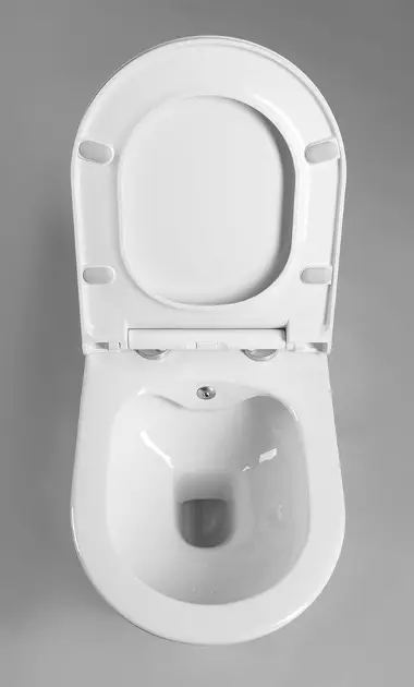 Sapho - Avva - WC - 100315 – 4. kép