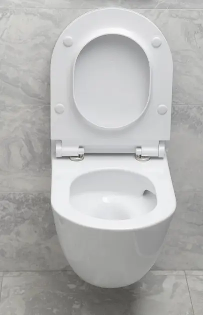 Sapho - GSI Color Elements - WC - 881509 – 5. kép