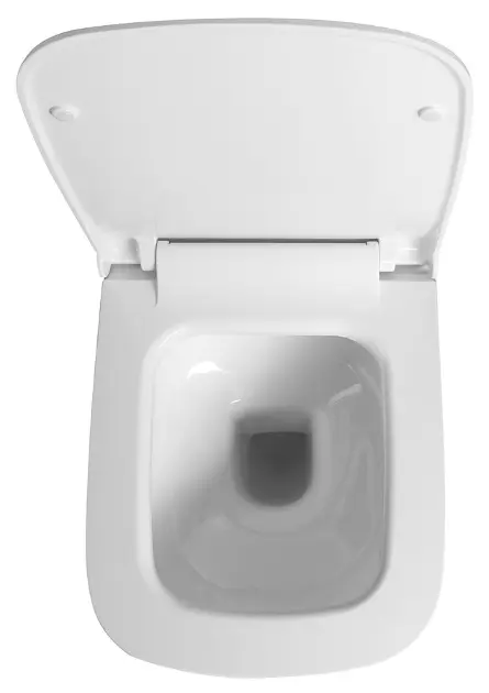 Sapho - Sanitary ceramics - WC - 100214 – 9. kép