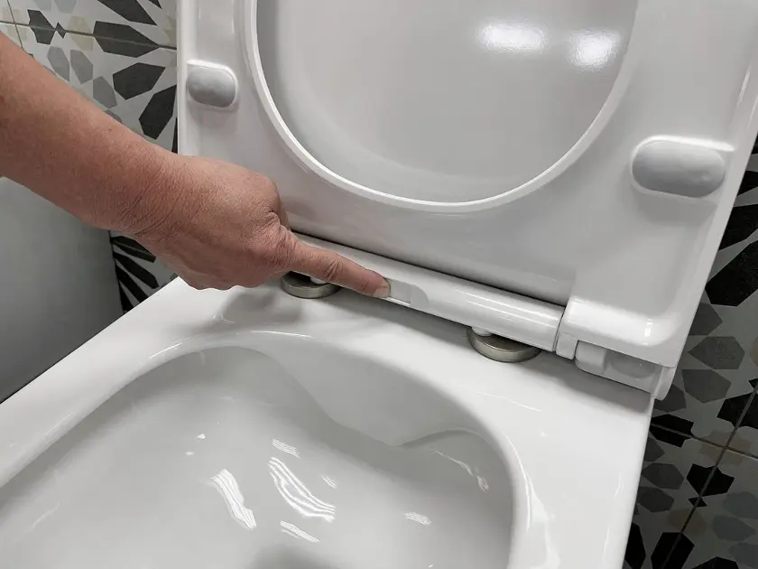 Sapho - Sanitary ceramics - WC - 100314 – 3. kép