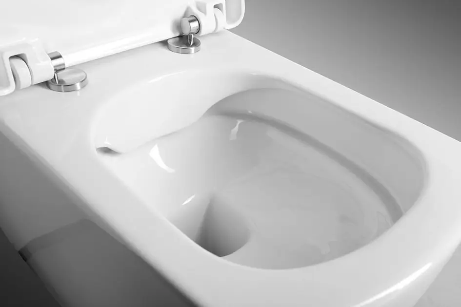 Sapho - Sanitary ceramics - WC - GC321 – 6. kép