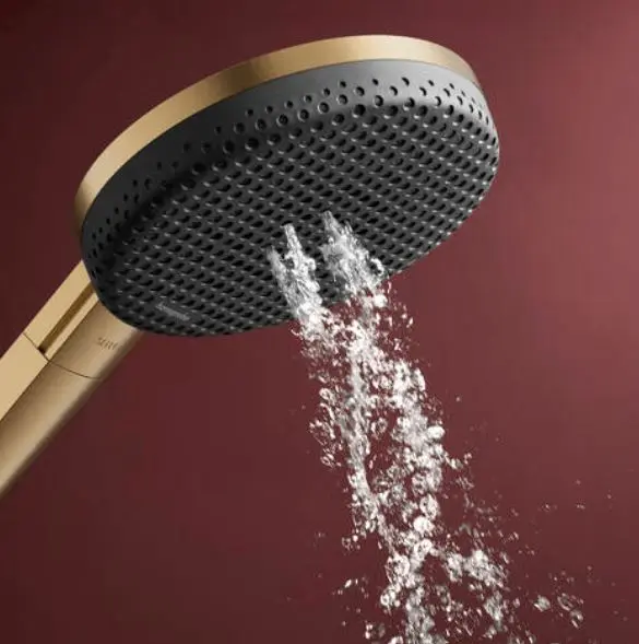 Hansgrohe - Raindance Alive Select S - Kézi zuhanyfej - 24500140 – 4. kép