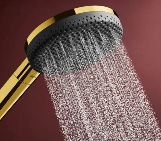Hansgrohe - Raindance Alive Select S - Kézi zuhanyfej - 24511990 – 5. kép