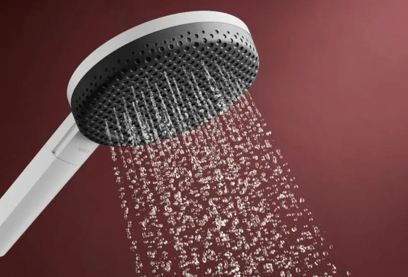 Hansgrohe - Raindance Alive Select S - Kézi zuhanyfej - 24601700 – 3. kép