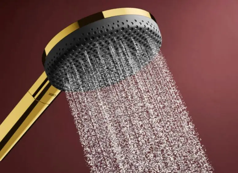 Hansgrohe - Raindance Alive Select S - Kézi zuhanyfej - 24602990 – 3. kép