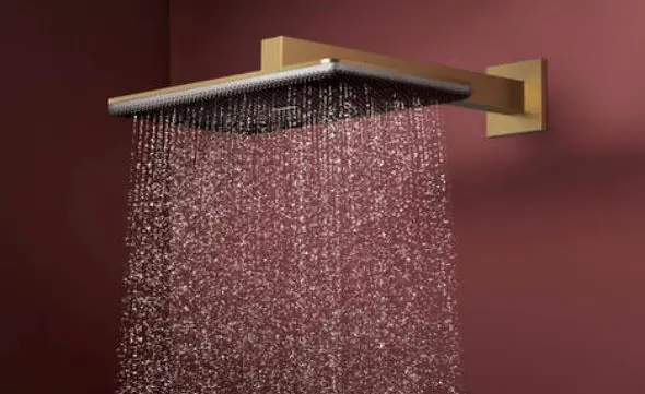 Hansgrohe - Raindance Alive Q - Fejzuhany - 24530140 – 3. kép