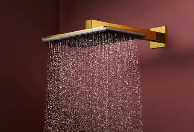Hansgrohe - Raindance Alive Q - Fejzuhany - 24530990 – 3. kép