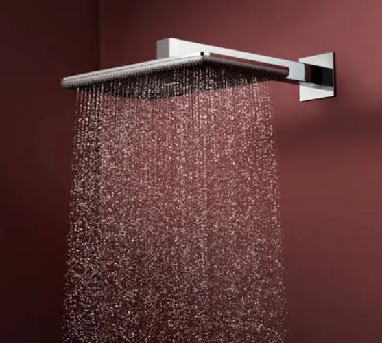 Hansgrohe - Raindance Alive Q - Fejzuhany - 24550000 – 3. kép