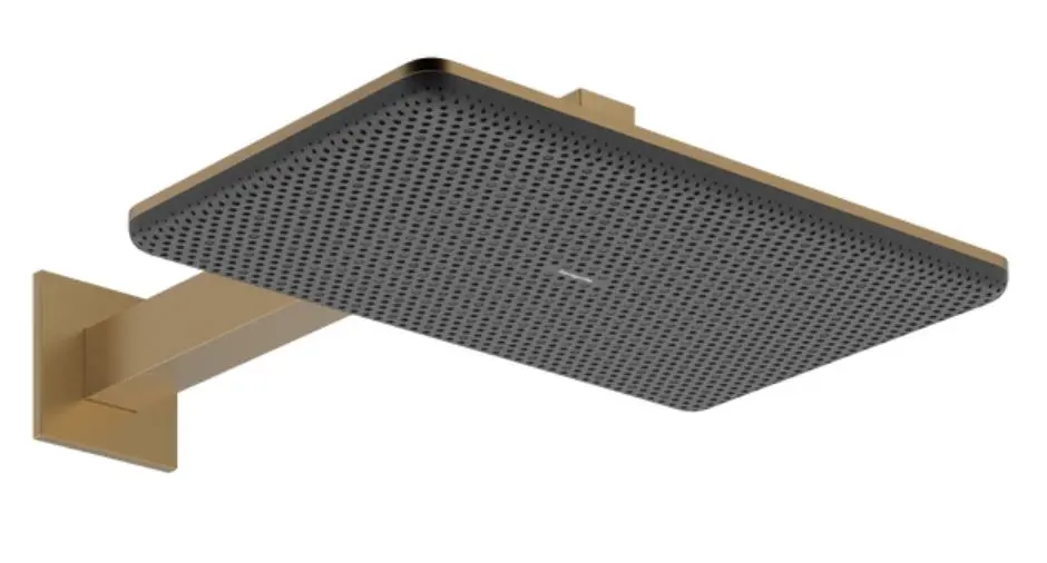 Hansgrohe - Raindance Alive Q - Fejzuhany - 24550140
