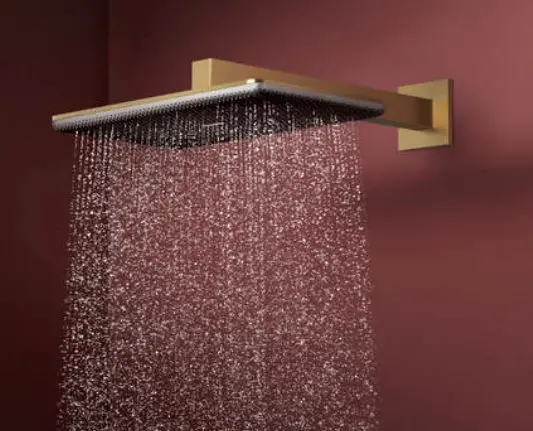 Hansgrohe - Raindance Alive Q - Fejzuhany - 24550140 – 3. kép