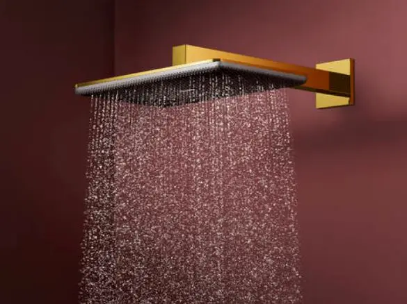 Hansgrohe - Raindance Alive Q - Fejzuhany - 24550990 – 3. kép