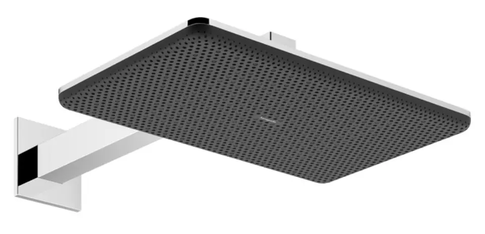 Hansgrohe - Raindance Alive Q - Fejzuhany - 24551000