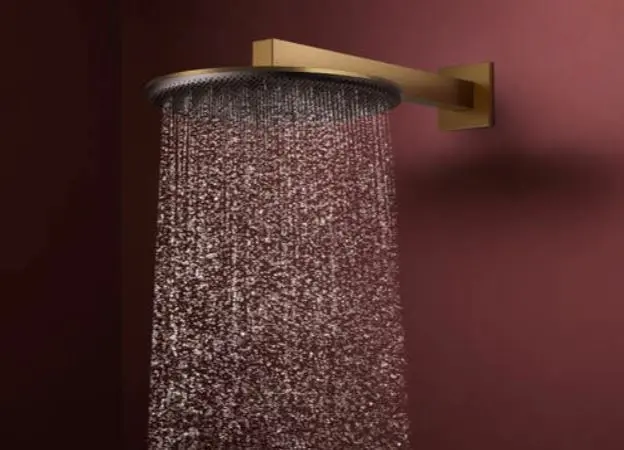 Hansgrohe - Raindance Alive S - Fejzuhany - 24520140 – 3. kép
