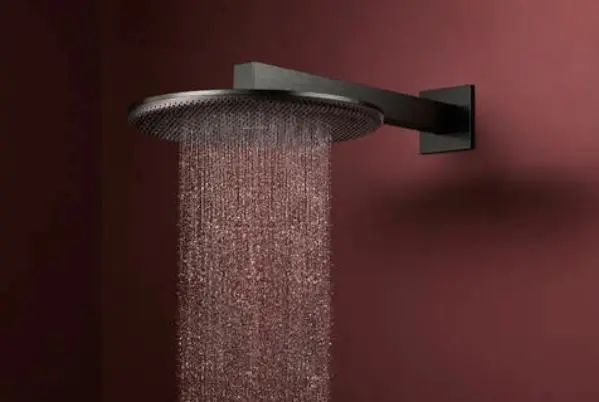 Hansgrohe - Raindance Alive S - Fejzuhany - 24520340 – 3. kép