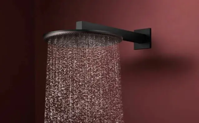 Hansgrohe - Raindance Alive S - Fejzuhany - 24520670 – 3. kép