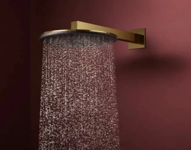 Hansgrohe - Raindance Alive S - Fejzuhany - 24520990 – 3. kép