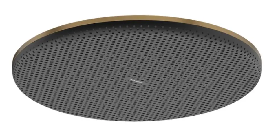 Hansgrohe - Raindance Alive S - Fejzuhany - 24521140
