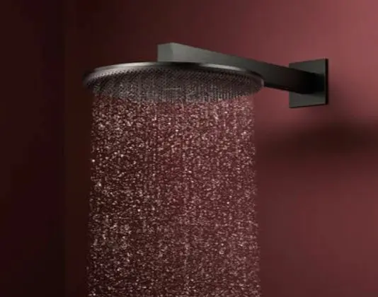 Hansgrohe - Raindance Alive S - Fejzuhany - 24521340 – 3. kép