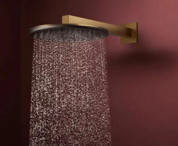 Hansgrohe - Raindance Alive S - Fejzuhany - 24540140 – 4. kép