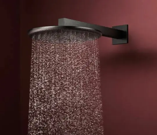Hansgrohe - Raindance Alive S - Fejzuhany - 24540340 – 4. kép