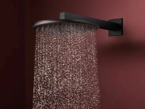 Hansgrohe - Raindance Alive S - Fejzuhany - 24540670 – 4. kép
