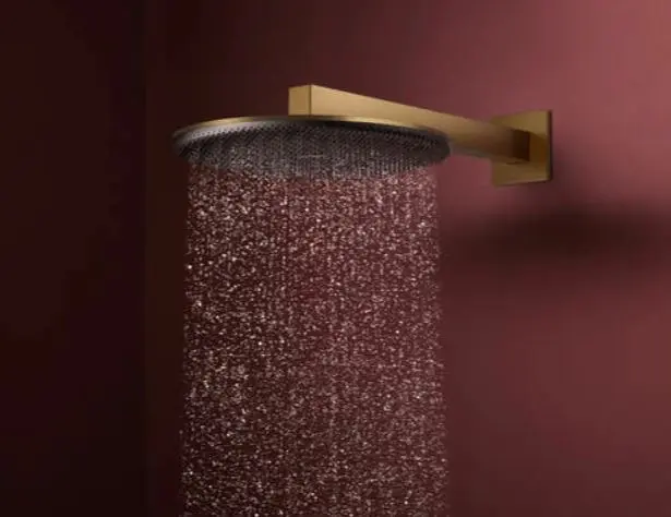 Hansgrohe - Raindance Alive S - Fejzuhany - 24541140 – 4. kép