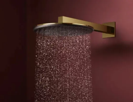 Hansgrohe - Raindance Alive S - Fejzuhany - 24541990 – 4. kép