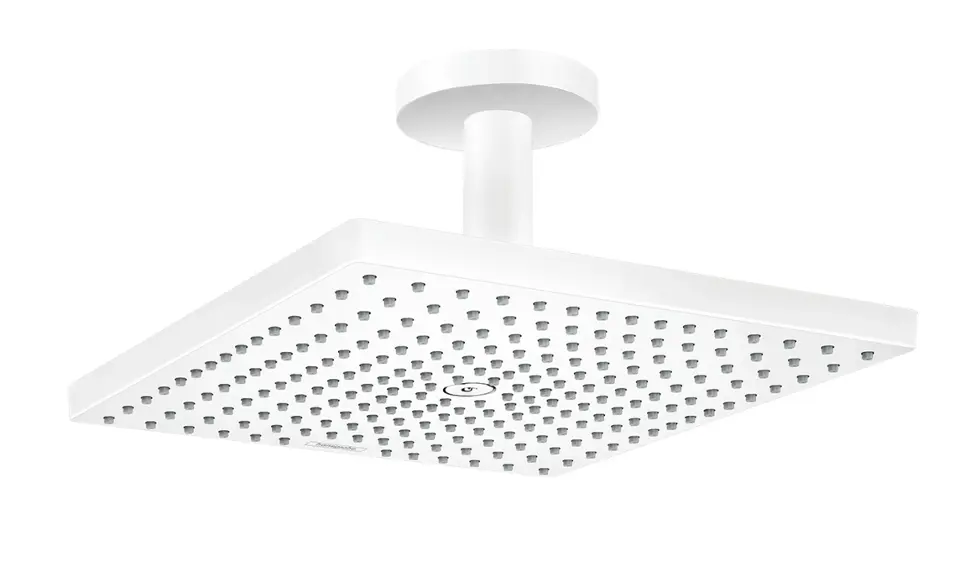Hansgrohe - Raindance E - Fejzuhany - 26251700