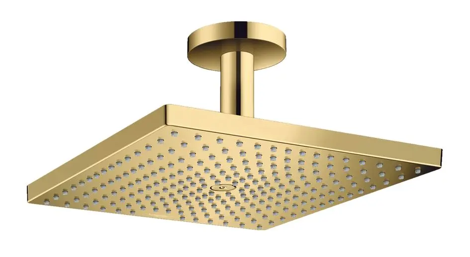 Hansgrohe - Raindance E - Fejzuhany - 26251990
